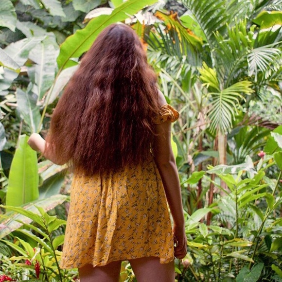 Meet your Posher, Tiare - Picture 1 of 1